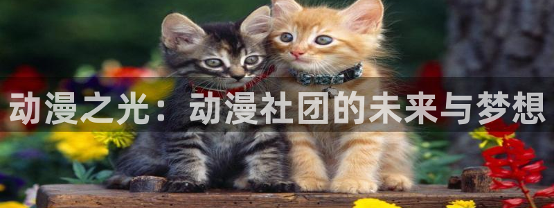 囧次元动漫app正版下载无广告：动漫之光：动漫社团的未来与梦想