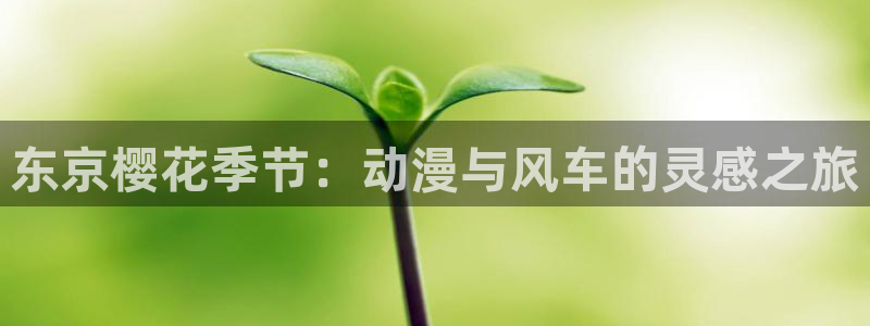 囧次元app下载安装：东京樱花季节：动漫与风车的灵感之旅