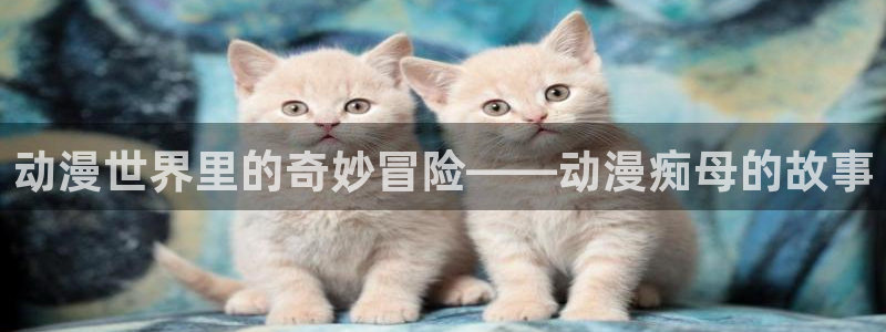 囧次元正版：动漫世界里的奇妙冒险——动漫痴母的故事